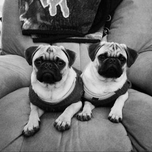 Meet your Posher, Carrie